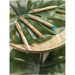 Nash bamboo ballpoint pens in 4 colours on top of a leaf
