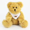 Bandanna Bear II