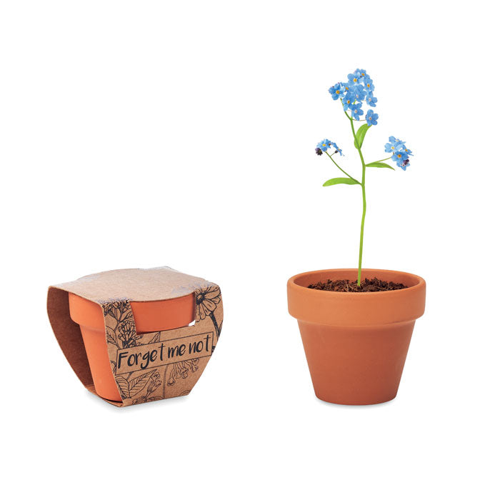 Branded Terracotta Pot with Seeds